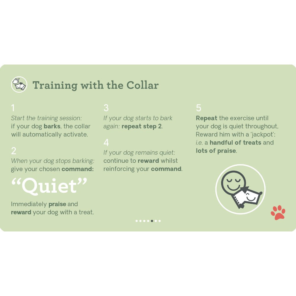 Company of Animals Pavlov Digital No Bark Collar - product detail image South Africa purchase