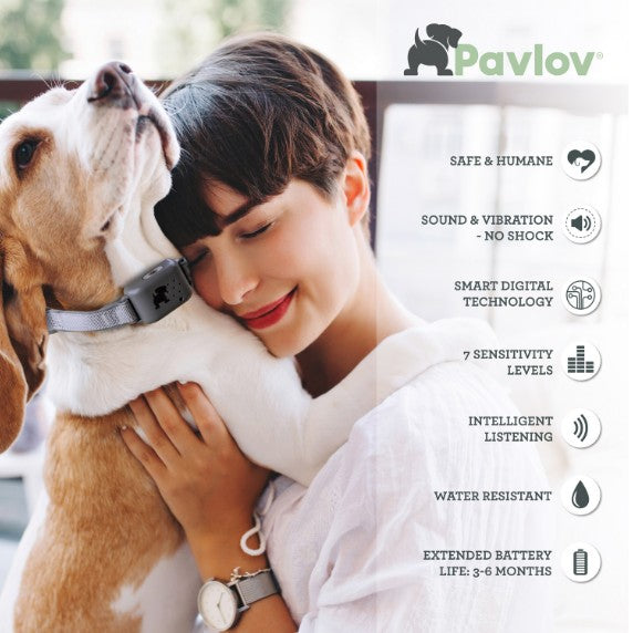 Company of Animals Pavlov Digital No Bark Collar - product detail image South Africa shopping