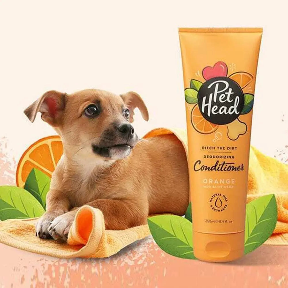 Pet Head orange deodorizing conditioner with a happy dog on a towel and orange slices.