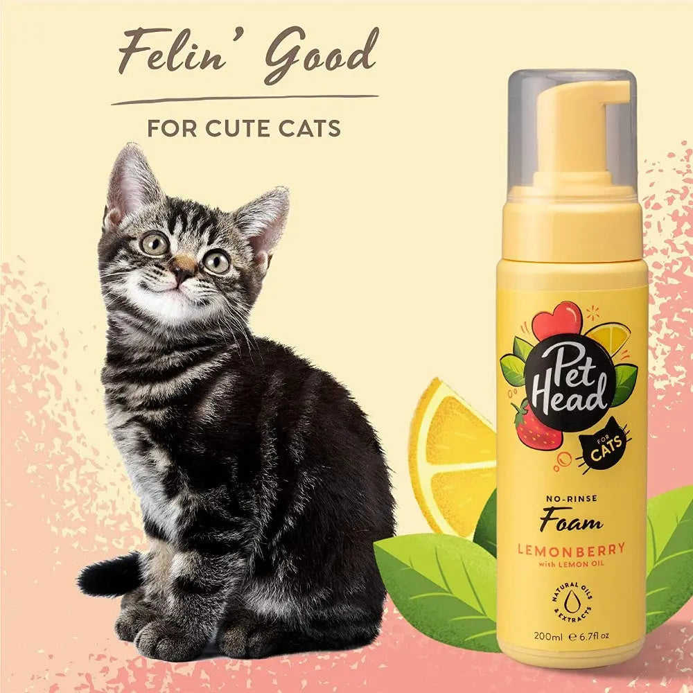 Cat grooming foam with lemon oil, featuring a playful kitten and vibrant packaging.