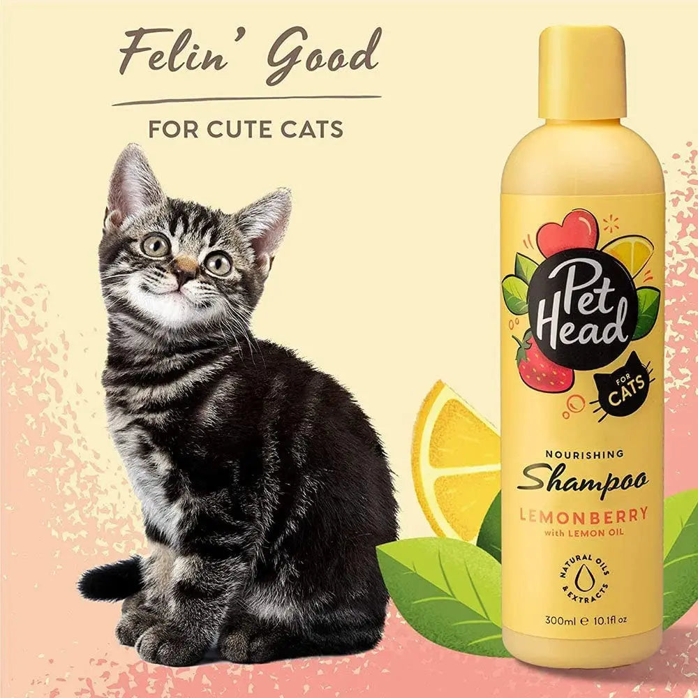 Cute kitten beside Pet Head Lemonberry cat shampoo bottle with lemon oil for nourishing care.