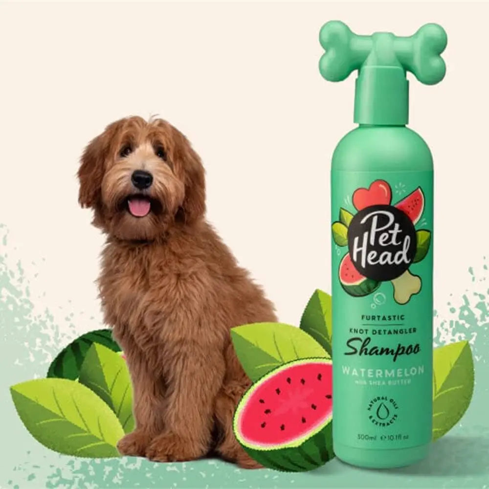 Pet Head Knot Detangler Shampoo for dogs, featuring a watermelon scent and a playful design.