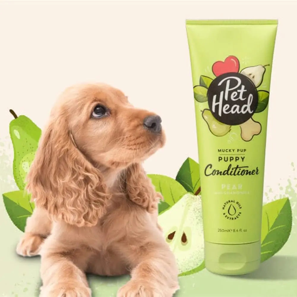 Pet Head Mucky Pup Puppy Conditioner with pear scent, perfect for keeping your puppy's coat soft and shiny.
