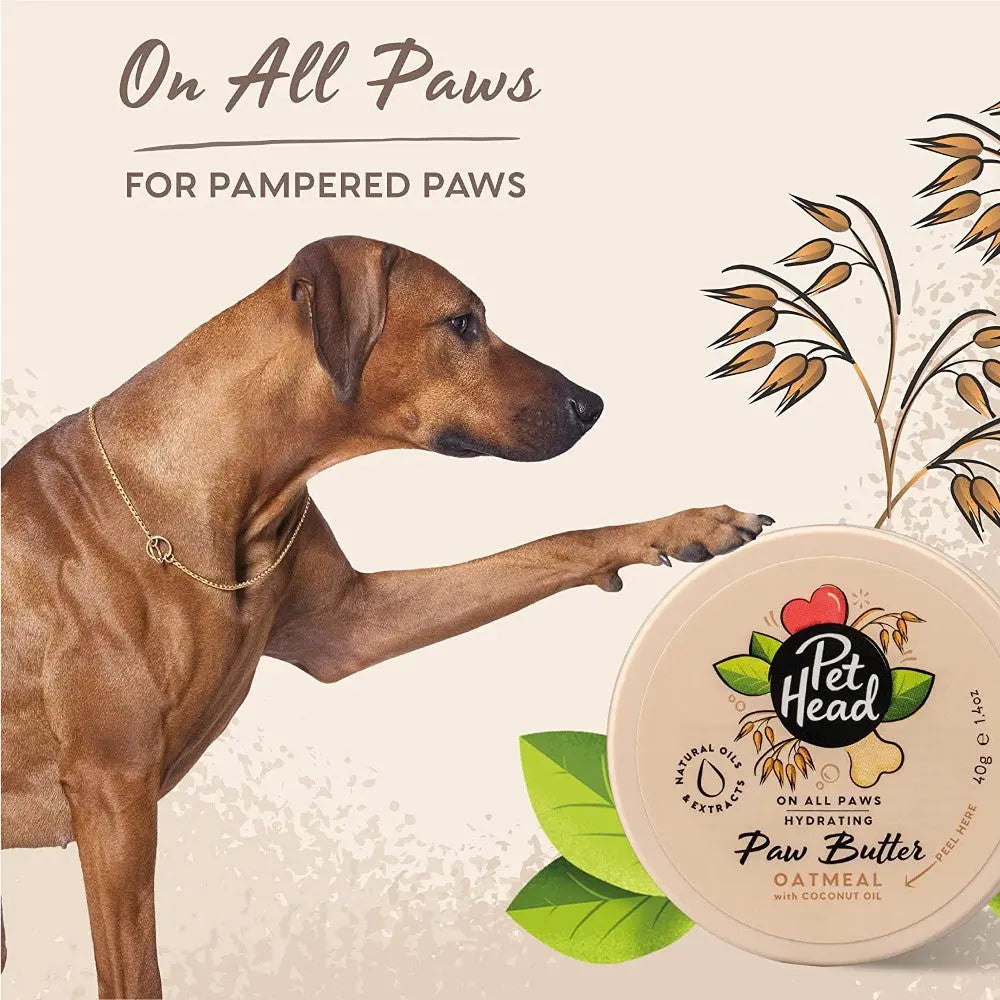 Dog reaching for Pet Head's hydrating paw butter with oatmeal and coconut oil for pampered paws.