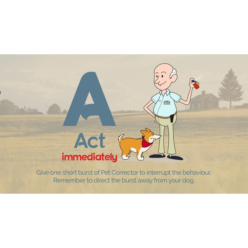 Company of Animals Pet Corrector Spray - product detail image South Africa shoppers