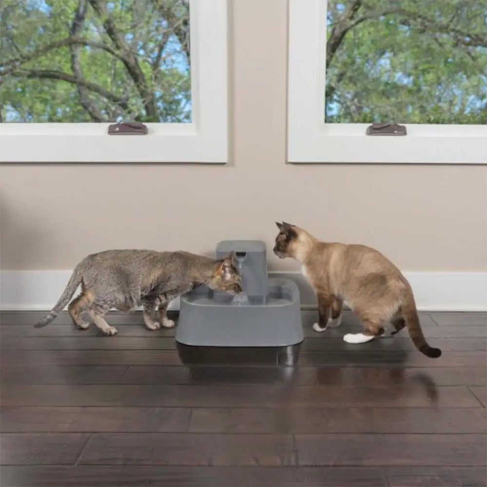 Two cats drinking from a modern pet water fountain in a bright, cozy room.