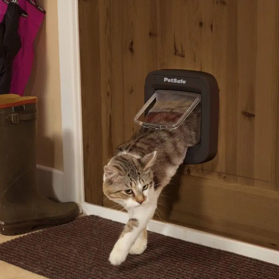 Cat using a PetSafe cat door to enter a home, showcasing convenience for pet owners.