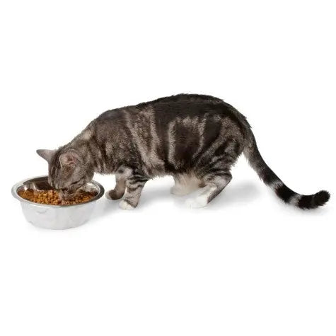 Cat eating from a stainless steel bowl filled with nutritious cat food.