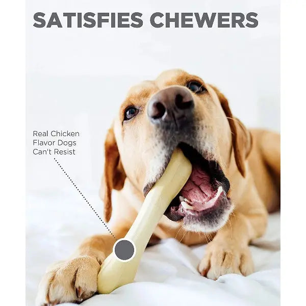 Dog enjoying a real chicken-flavored chew bone for satisfying playtime and dental health.
