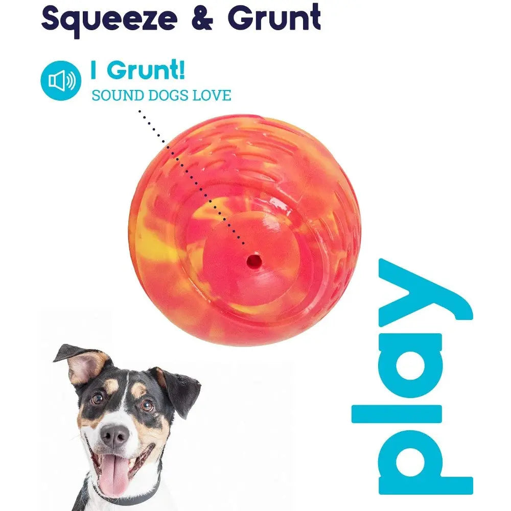 Colorful dog toy that grunts when squeezed, perfect for interactive playtime.