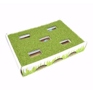 Petstages Grass Patch Hunting Box