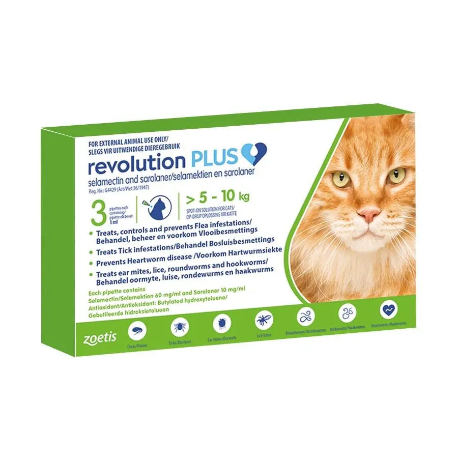 Revolution Plus for cats, 5-10 kg, flea and tick treatment, packaging with dosage instructions.