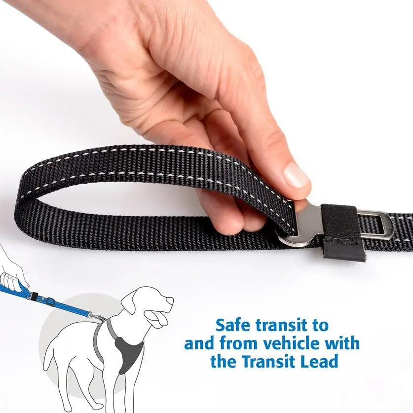Dog transit lead for safe vehicle travel, featuring a durable strap and secure attachment.