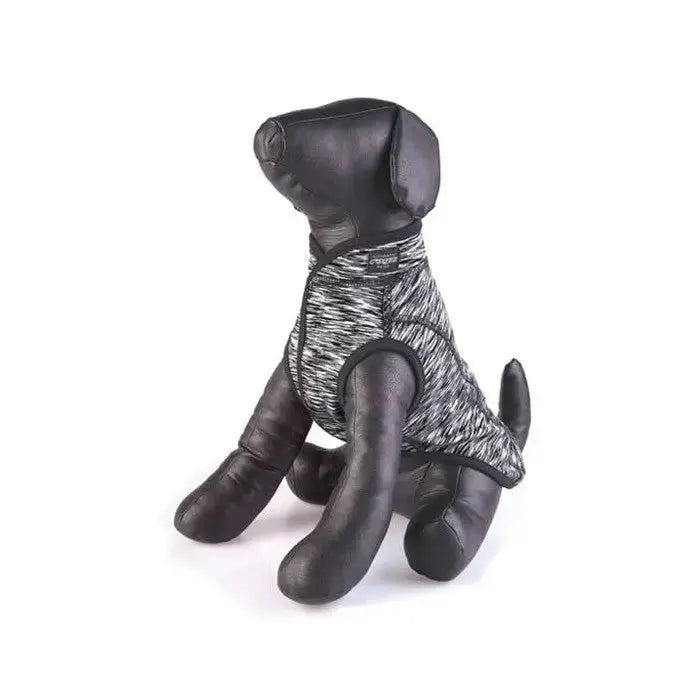 Stylish black and gray dog mannequin showcasing a trendy pet outfit.