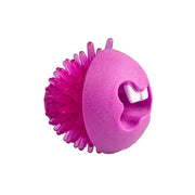 Rogz Fred Treat Ball - Pink