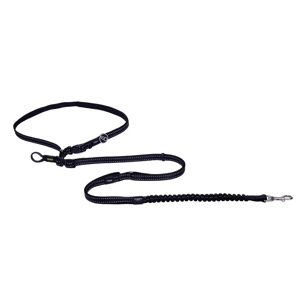 Durable black dog leash with bungee design for comfortable walking and control.