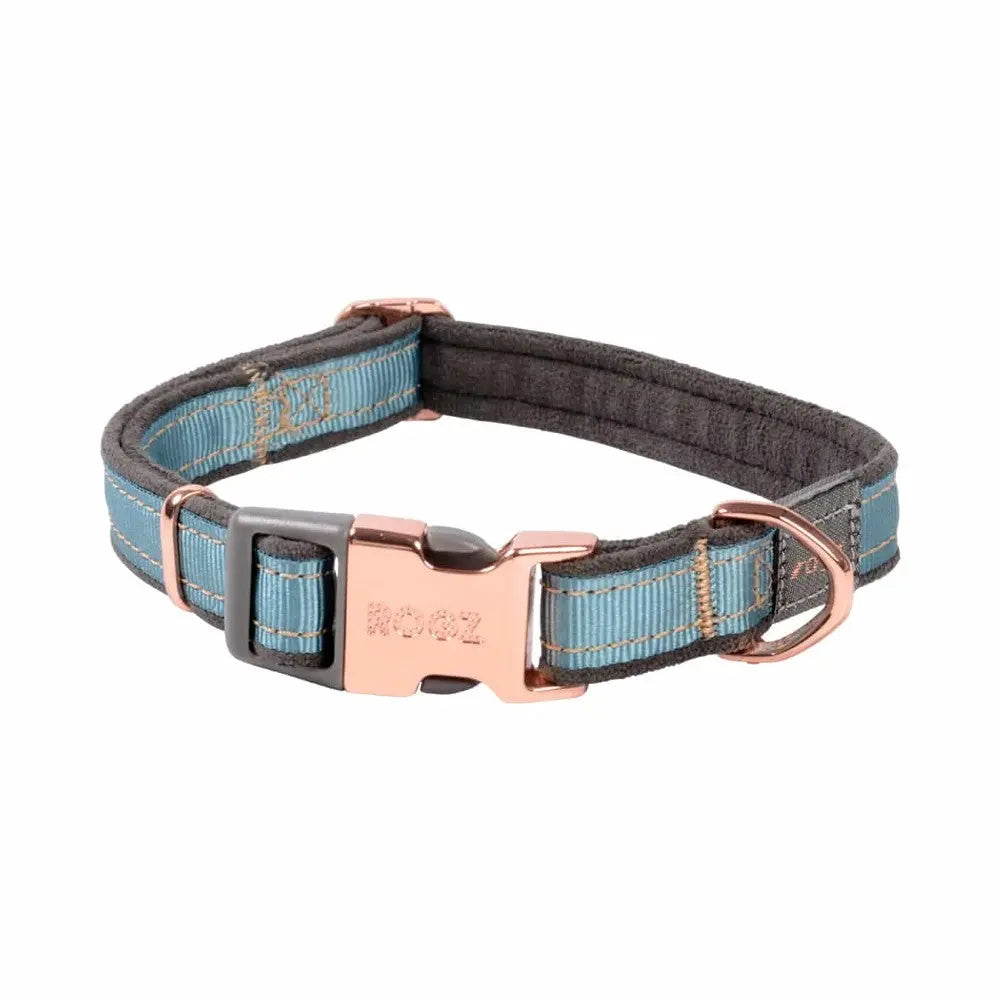 Durable dog collar in teal and gray with a stylish rose gold buckle for comfort and style.