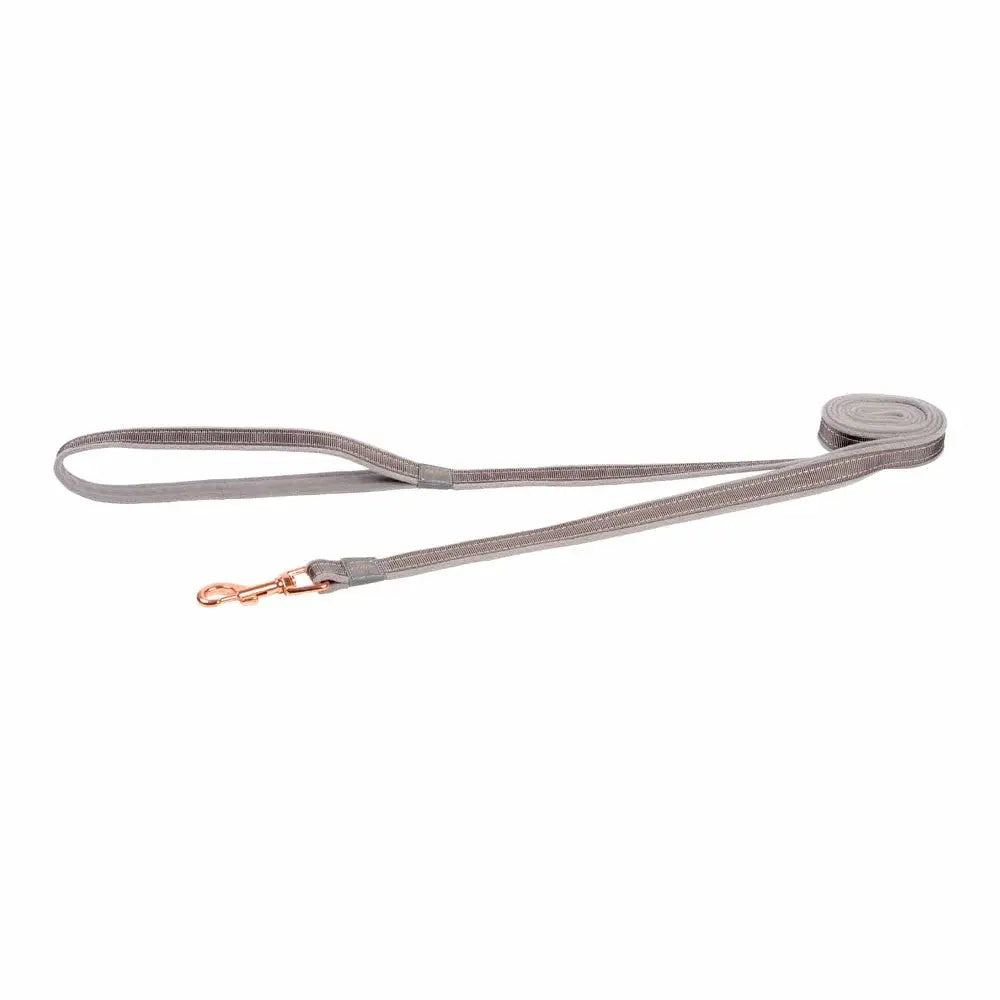 Durable gray dog leash with a stylish rose gold clip for secure walks.