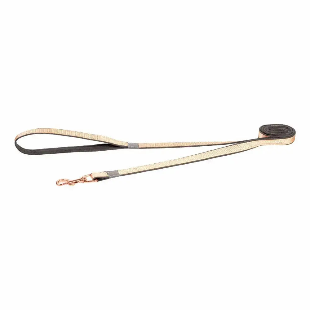 Durable dog leash with a stylish design, perfect for walks and training.