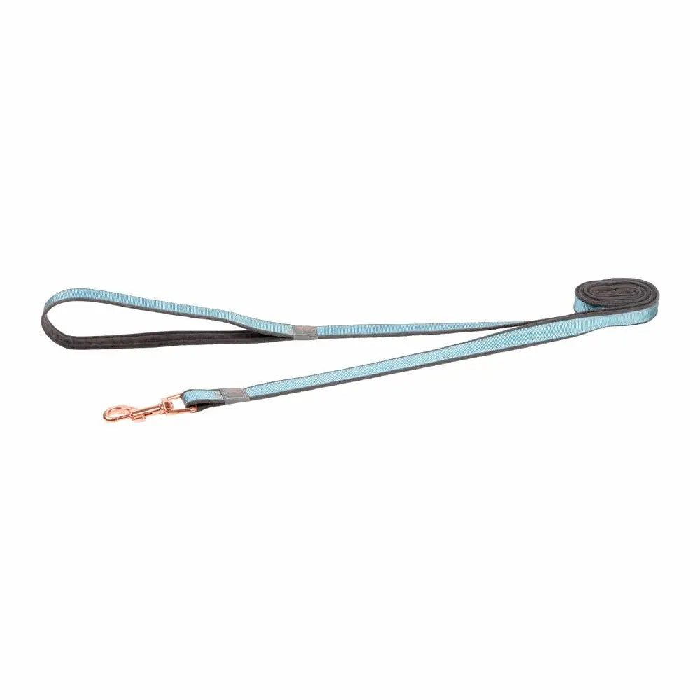 Durable dog leash in teal and black, perfect for walks and training.
