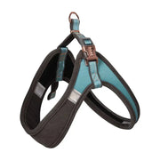 Adjustable dog harness in teal and gray, designed for comfort and safety during walks.