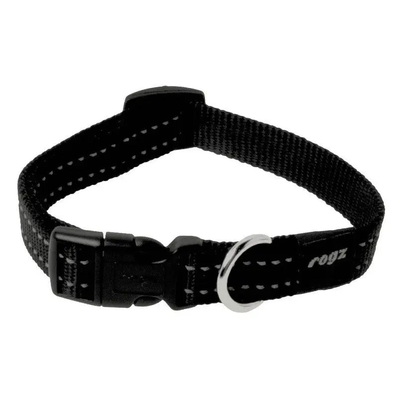 Black pet collar with adjustable buckle and sturdy D-ring for leash attachment.