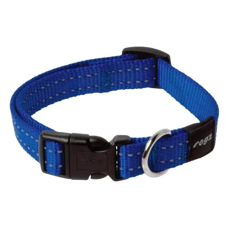 Blue dog collar with adjustable buckle and metal D-ring for leash attachment.