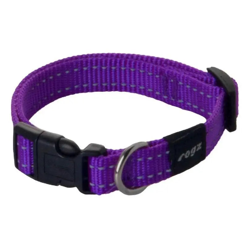 Purple dog collar with adjustable strap and secure buckle for comfortable pet wear.