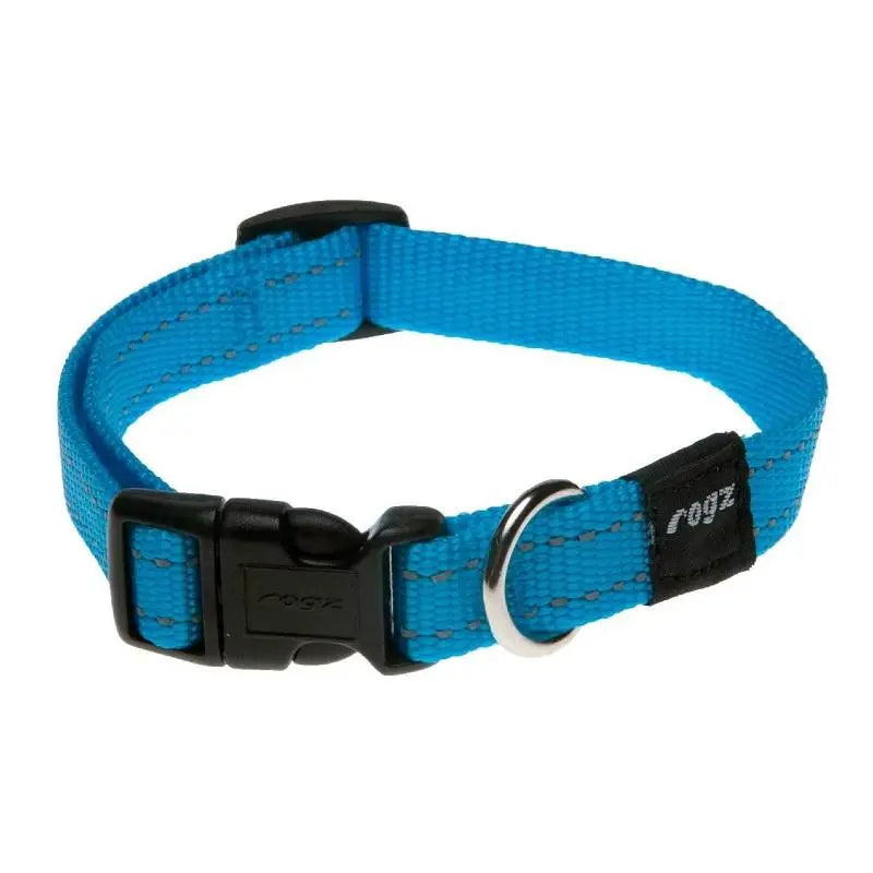 Blue pet collar with adjustable buckle and metal D-ring for leash attachment.