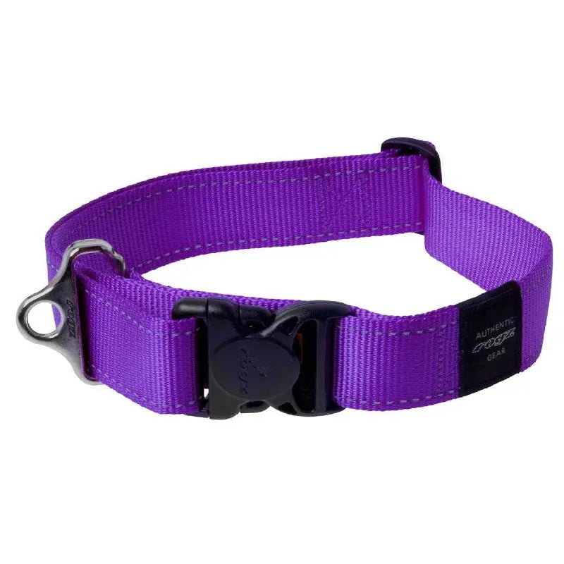 Purple dog collar with adjustable strap and secure buckle for comfortable pet wear.