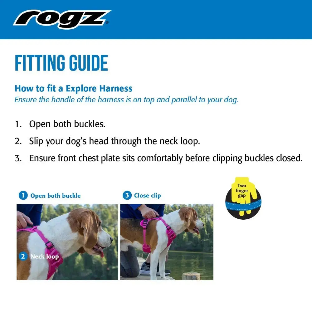 Dog harness fitting guide with steps for proper adjustment and secure buckling.