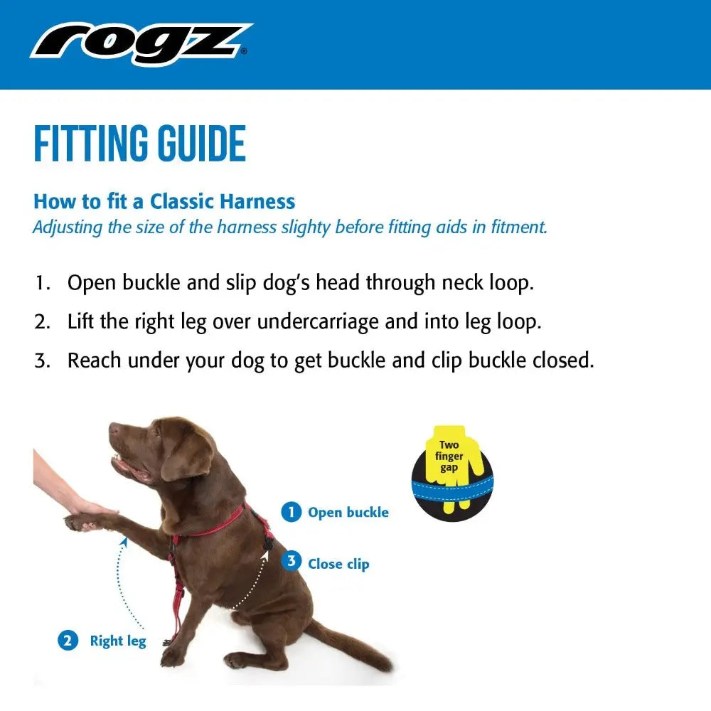 Dog harness fitting guide with step-by-step instructions and visuals for proper adjustment.