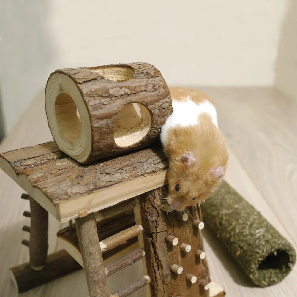 Hamster exploring a wooden habitat with tunnels and climbing structures for enrichment.