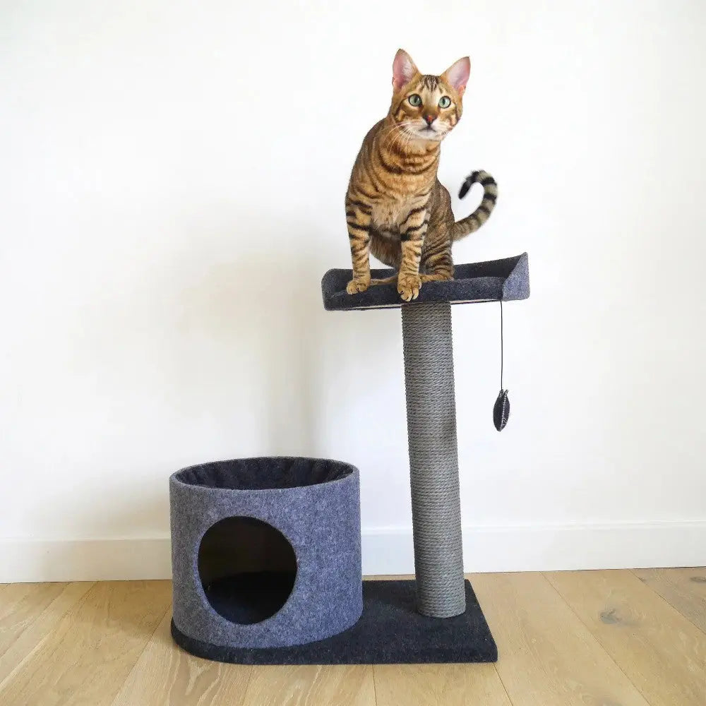 Cat tree with scratching post and cozy hideaway for playful feline fun and relaxation.