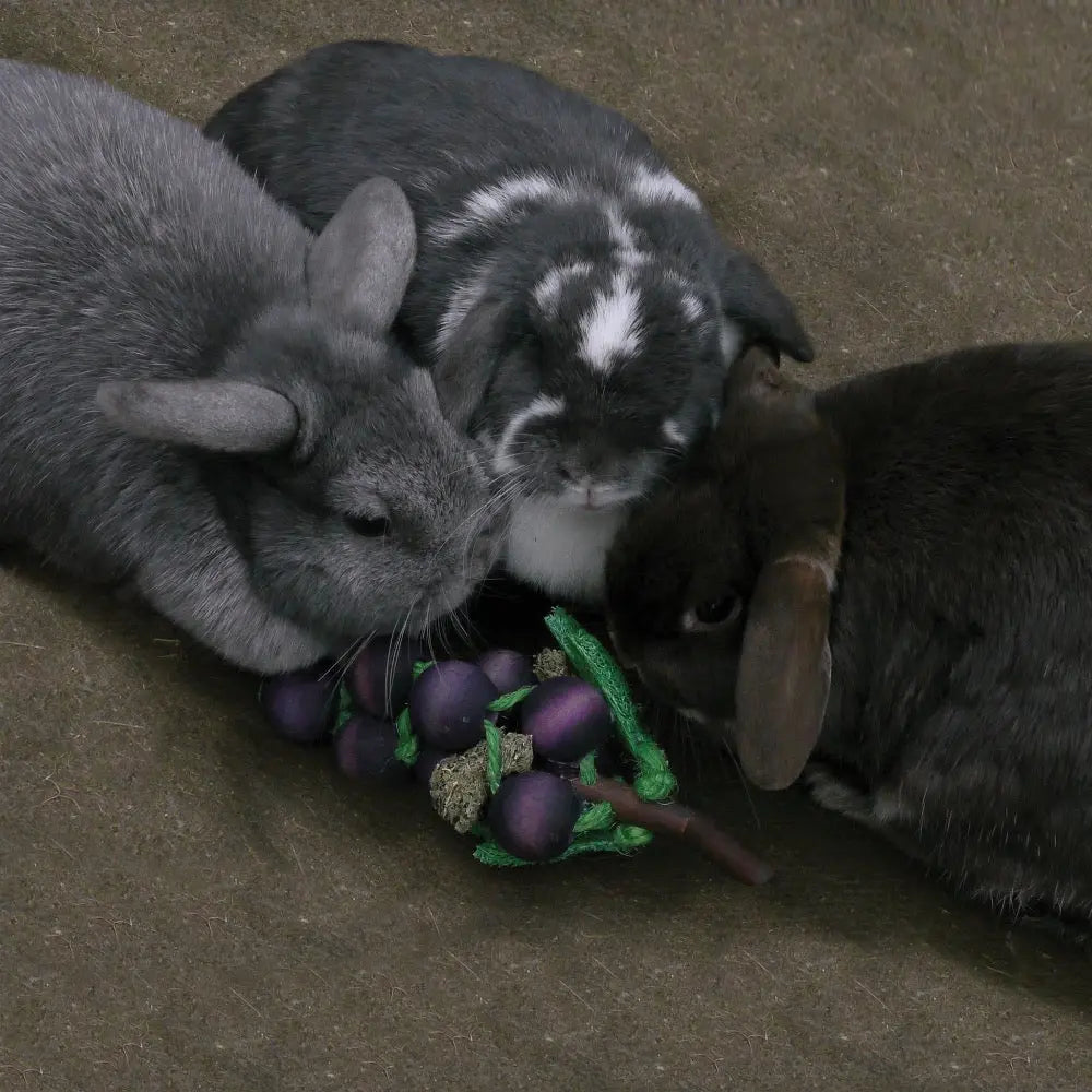 Three adorable rabbits munching on a colorful toy made of fruits and vegetables.