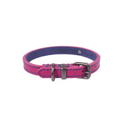 Pink and blue dog collar with a stylish buckle and stitching details.