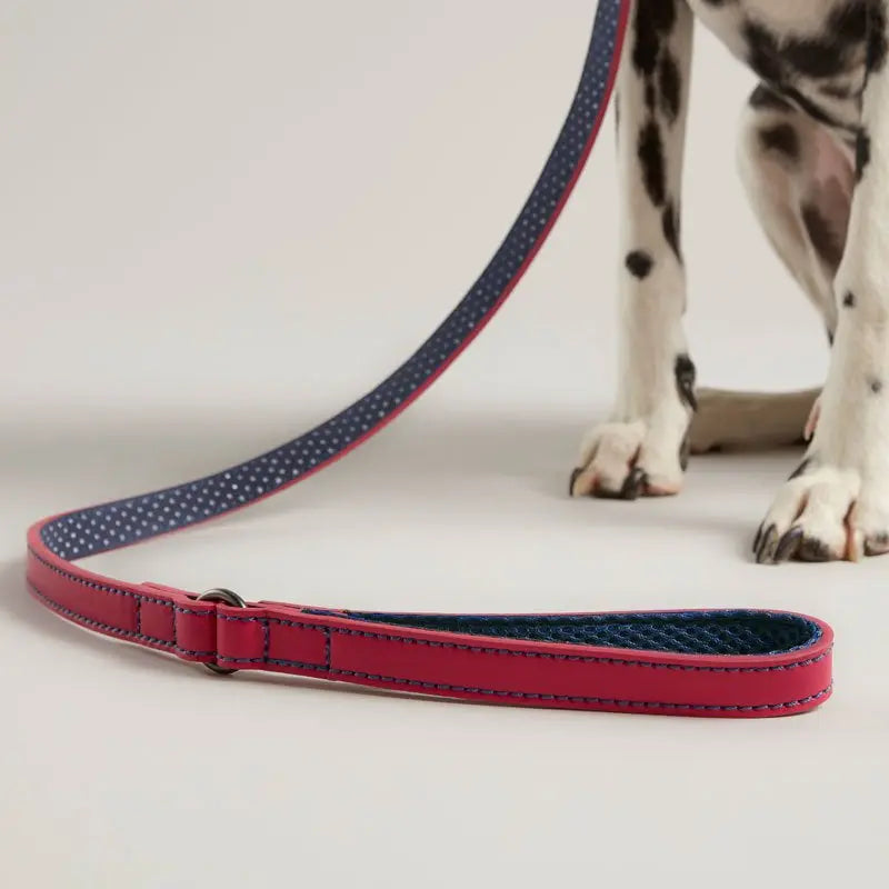 Stylish dog leash in pink and navy, perfect for walks and training.