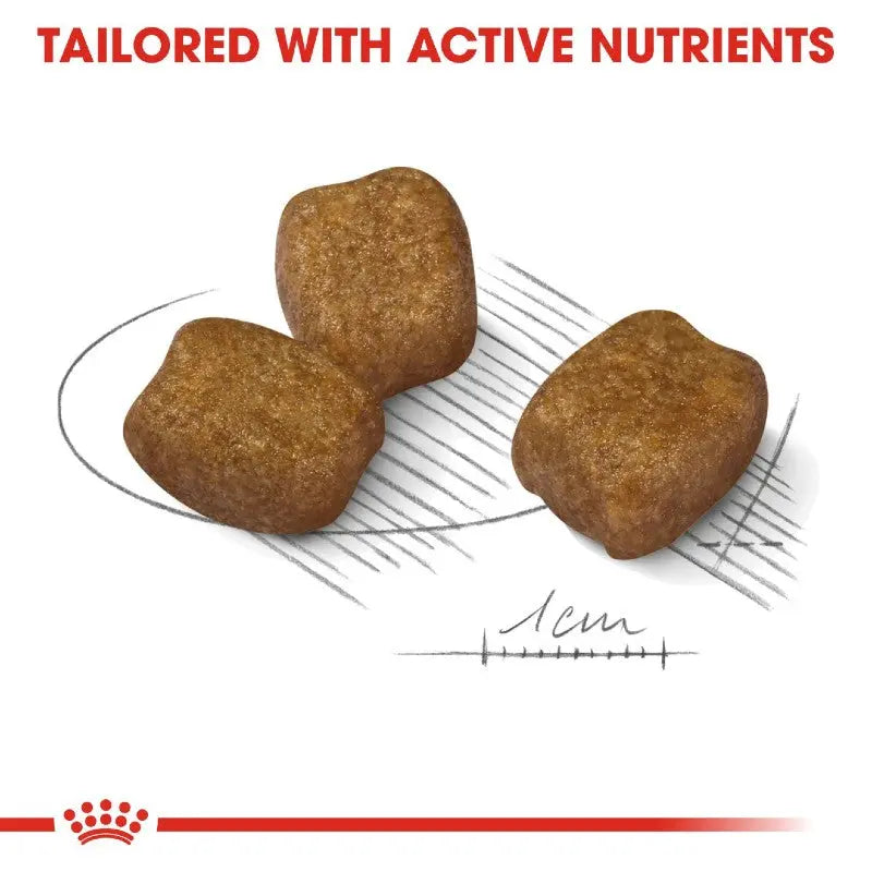 Active nutrient-rich pet food kibble designed for optimal health and nutrition.