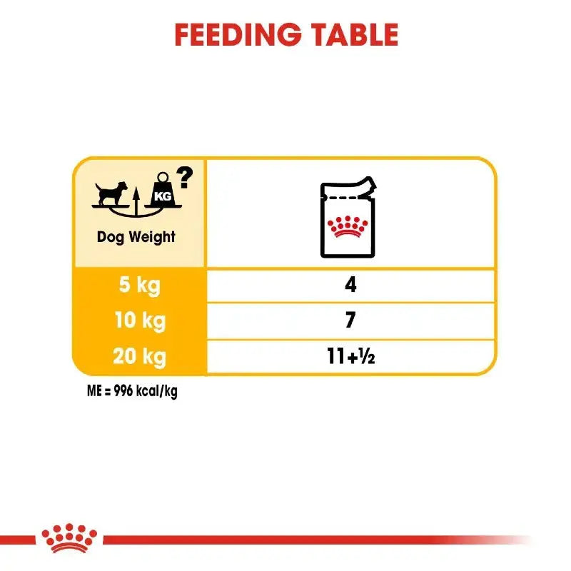 Feeding table infographic for dog weight and recommended food portions.