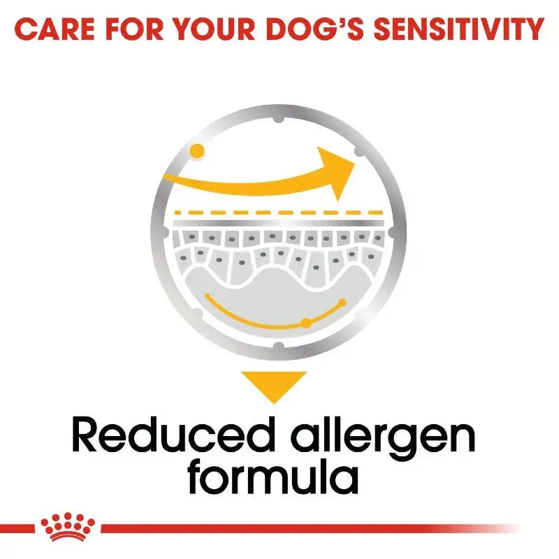 Infographic illustrating a reduced allergen formula for dogs' sensitivity care.