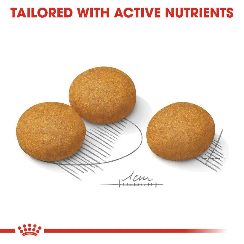 Nutritious pet food kibbles designed with active nutrients for optimal health.