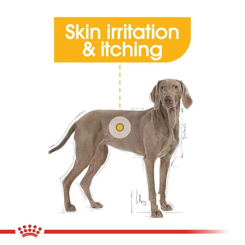 Illustration of a dog highlighting skin irritation and itching for pet care guidance.