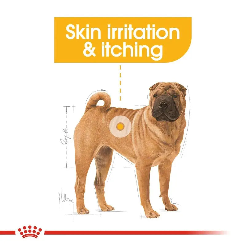 Illustration of a dog highlighting skin irritation and itching for pet care guidance.