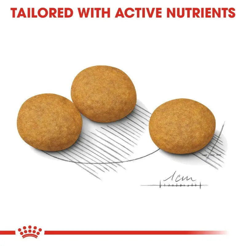 Nutritious pet food kibbles designed with active nutrients for optimal health.