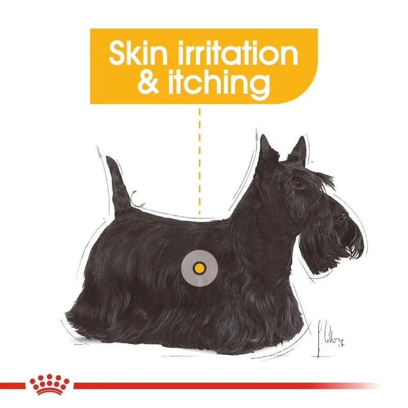 Illustration of a dog highlighting skin irritation and itching symptoms for pet care awareness.