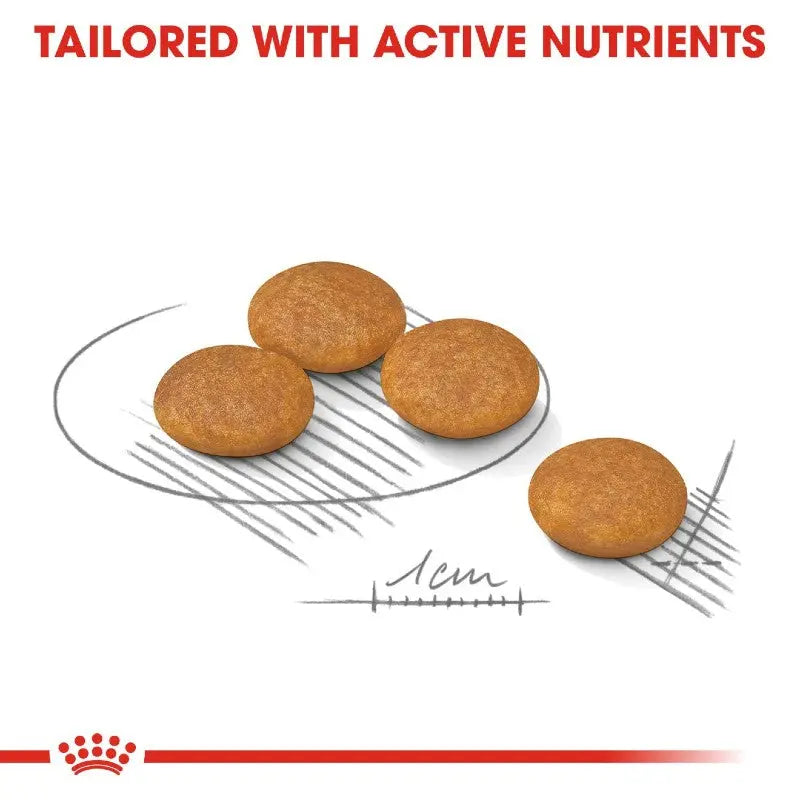 8キロ　 CANIN DERMACOMFORT MINI Royal Canin Dermacomfort Mini | Buy Online | Canine & Co