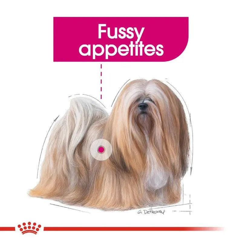 Fussy appetites dog illustration showcasing a fluffy, long-haired breed with a playful expression.