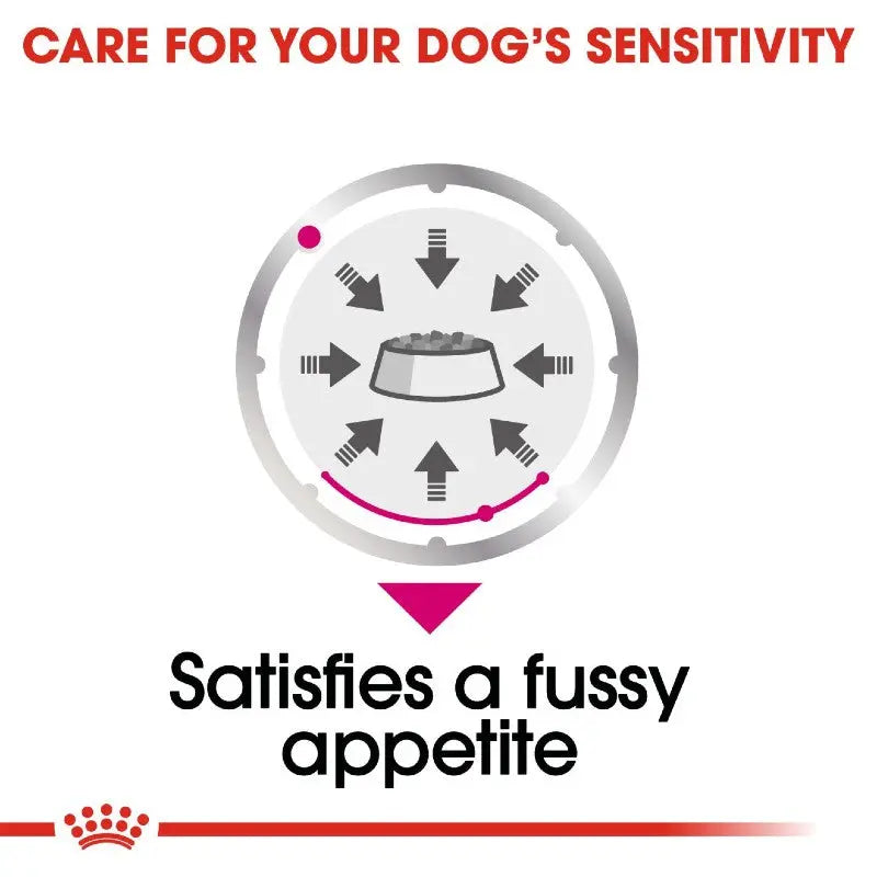 Infographic showing how to satisfy a fussy dog's appetite with targeted feeding solutions.