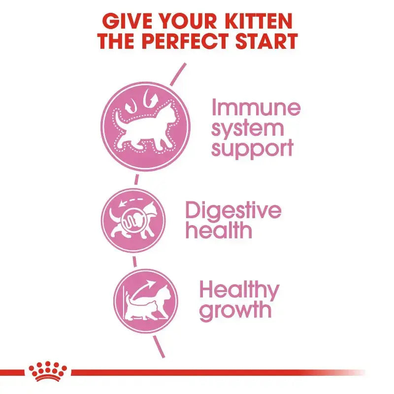 Infographic highlighting kitten health benefits: immune support, digestive health, and healthy growth.