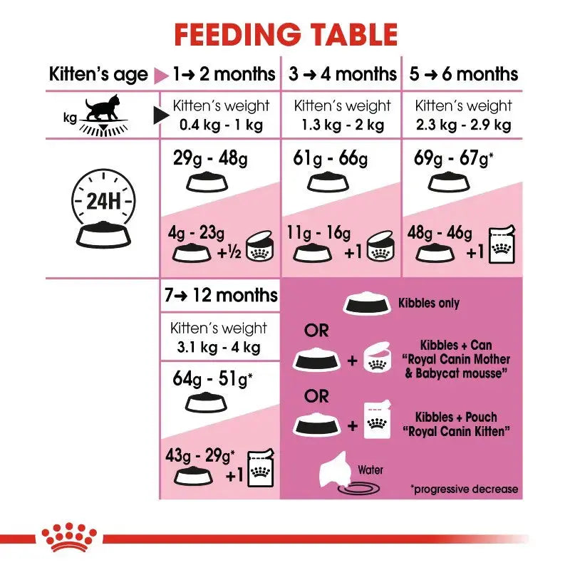 Kitten feeding table infographic showing age, weight, and recommended daily food portions.